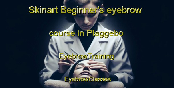 Skinart Beginner's eyebrow course in Plaggebo | EyebrowTraining | EyebrowClasses | SkinartTraining-Sweden