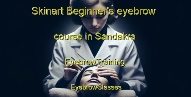 Skinart Beginner's eyebrow course in Sandakra | EyebrowTraining | EyebrowClasses | SkinartTraining-Sweden