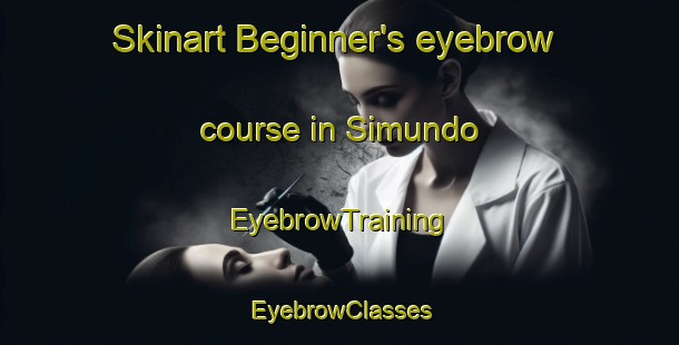 Skinart Beginner's eyebrow course in Simundo | EyebrowTraining | EyebrowClasses | SkinartTraining-Sweden