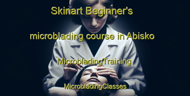 Skinart Beginner's microblading course in Abisko | #MicrobladingTraining #MicrobladingClasses #SkinartTraining-Sweden