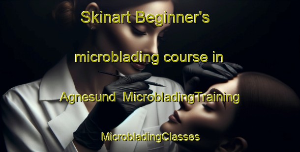 Skinart Beginner's microblading course in Agnesund | #MicrobladingTraining #MicrobladingClasses #SkinartTraining-Sweden