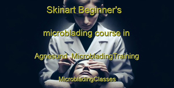 Skinart Beginner's microblading course in Agnesund | #MicrobladingTraining #MicrobladingClasses #SkinartTraining-Sweden