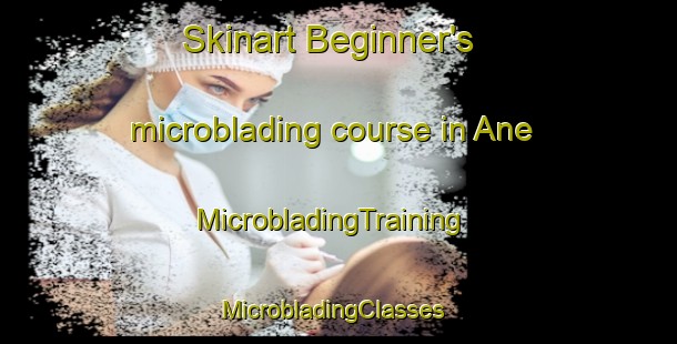 Skinart Beginner's microblading course in Ane | MicrobladingTraining | MicrobladingClasses | SkinartTraining-Sweden