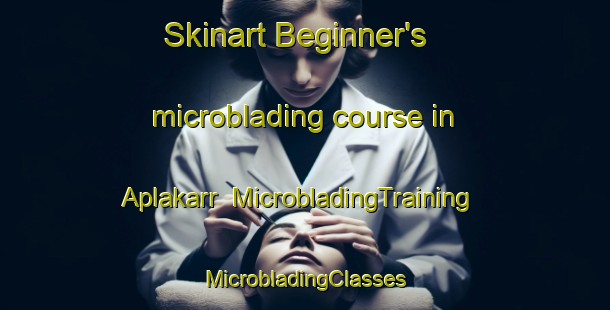 Skinart Beginner's microblading course in Aplakarr | #MicrobladingTraining #MicrobladingClasses #SkinartTraining-Sweden