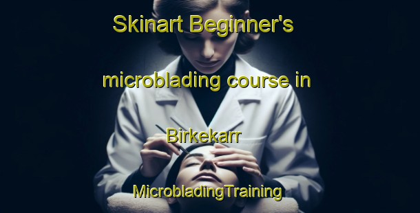 Skinart Beginner's microblading course in Birkekarr | #MicrobladingTraining #MicrobladingClasses #SkinartTraining-Sweden