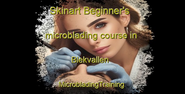 Skinart Beginner's microblading course in Blekvallen | #MicrobladingTraining #MicrobladingClasses #SkinartTraining-Sweden