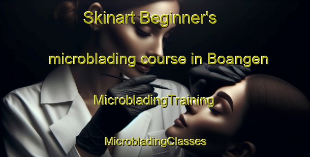 Skinart Beginner's microblading course in Boangen | #MicrobladingTraining #MicrobladingClasses #SkinartTraining-Sweden