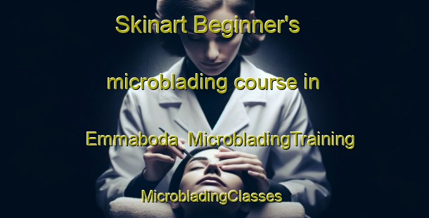 Skinart Beginner's microblading course in Emmaboda | MicrobladingTraining | MicrobladingClasses | SkinartTraining-Sweden