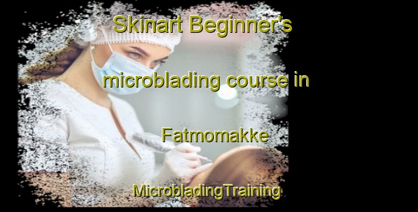 Skinart Beginner's microblading course in Fatmomakke | #MicrobladingTraining #MicrobladingClasses #SkinartTraining-Sweden