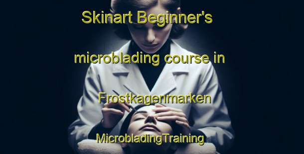 Skinart Beginner's microblading course in Frostkagenmarken | #MicrobladingTraining #MicrobladingClasses #SkinartTraining-Sweden