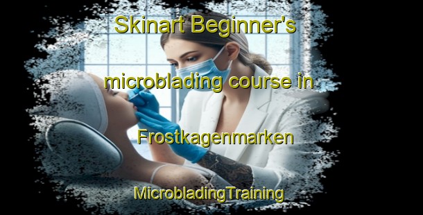 Skinart Beginner's microblading course in Frostkagenmarken | #MicrobladingTraining #MicrobladingClasses #SkinartTraining-Sweden