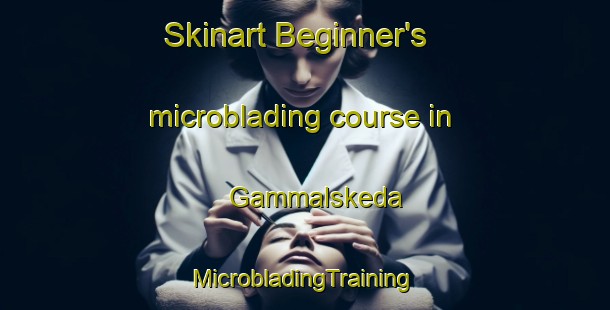 Skinart Beginner's microblading course in Gammalskeda | #MicrobladingTraining #MicrobladingClasses #SkinartTraining-Sweden