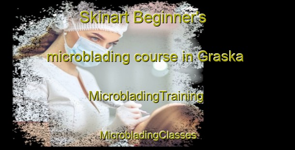 Skinart Beginner's microblading course in Graska | #MicrobladingTraining #MicrobladingClasses #SkinartTraining-Sweden