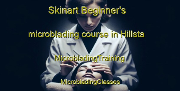 Skinart Beginner's microblading course in Hillsta | #MicrobladingTraining #MicrobladingClasses #SkinartTraining-Sweden