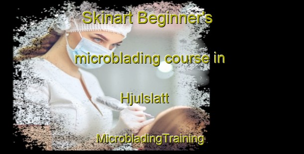 Skinart Beginner's microblading course in Hjulslatt | #MicrobladingTraining #MicrobladingClasses #SkinartTraining-Sweden