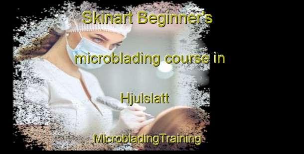Skinart Beginner's microblading course in Hjulslatt | MicrobladingTraining | MicrobladingClasses | SkinartTraining-Sweden