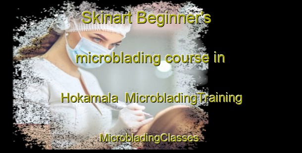 Skinart Beginner's microblading course in Hokamala | MicrobladingTraining | MicrobladingClasses | SkinartTraining-Sweden