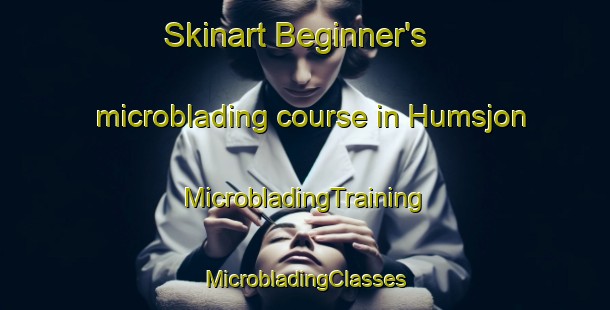 Skinart Beginner's microblading course in Humsjon | #MicrobladingTraining #MicrobladingClasses #SkinartTraining-Sweden