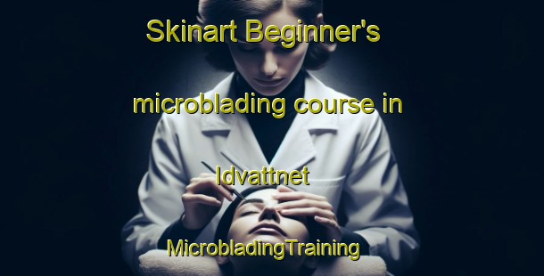 Skinart Beginner's microblading course in Idvattnet | MicrobladingTraining | MicrobladingClasses | SkinartTraining-Sweden
