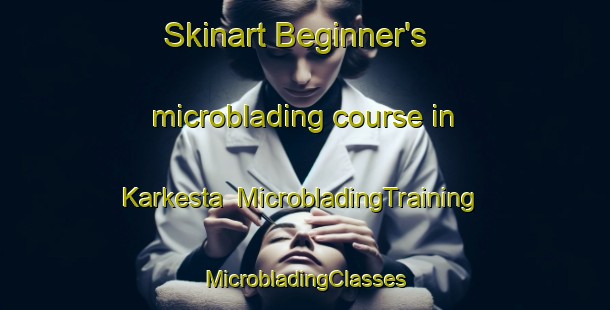 Skinart Beginner's microblading course in Karkesta | #MicrobladingTraining #MicrobladingClasses #SkinartTraining-Sweden