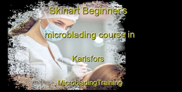 Skinart Beginner's microblading course in Karlsfors | #MicrobladingTraining #MicrobladingClasses #SkinartTraining-Sweden