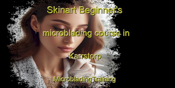 Skinart Beginner's microblading course in Karrstorp | MicrobladingTraining | MicrobladingClasses | SkinartTraining-Sweden