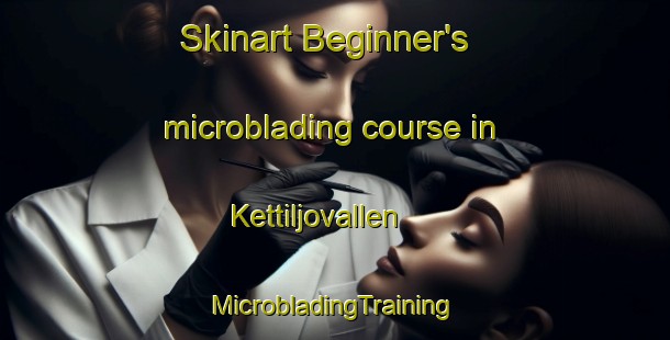 Skinart Beginner's microblading course in Kettiljovallen | #MicrobladingTraining #MicrobladingClasses #SkinartTraining-Sweden