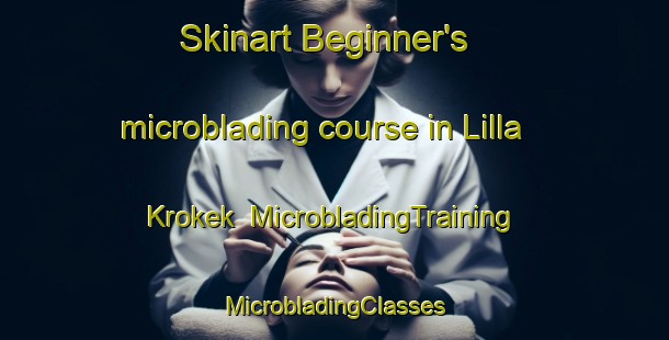 Skinart Beginner's microblading course in Lilla Krokek | #MicrobladingTraining #MicrobladingClasses #SkinartTraining-Sweden