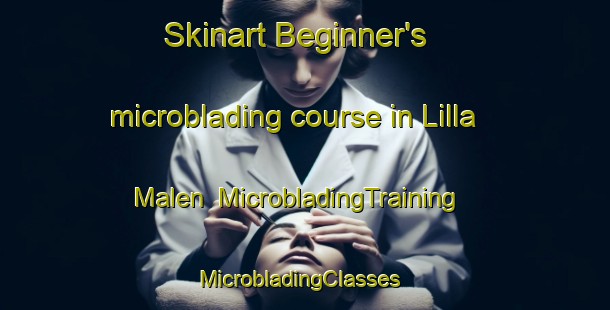 Skinart Beginner's microblading course in Lilla Malen | MicrobladingTraining | MicrobladingClasses | SkinartTraining-Sweden