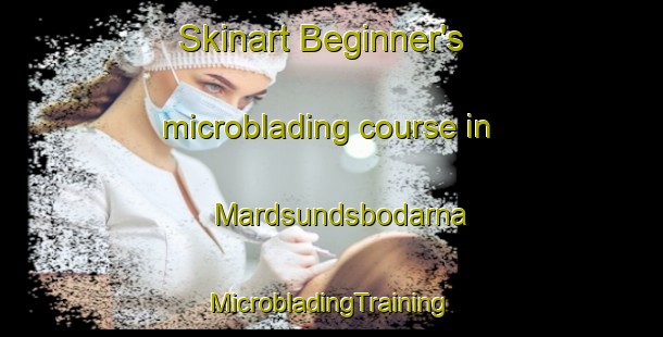 Skinart Beginner's microblading course in Mardsundsbodarna | #MicrobladingTraining #MicrobladingClasses #SkinartTraining-Sweden