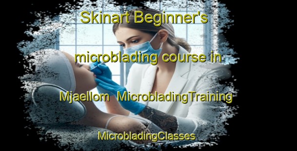 Skinart Beginner's microblading course in Mjaellom | MicrobladingTraining | MicrobladingClasses | SkinartTraining-Sweden