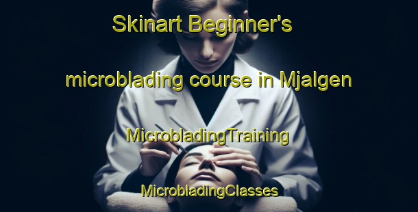 Skinart Beginner's microblading course in Mjalgen | #MicrobladingTraining #MicrobladingClasses #SkinartTraining-Sweden