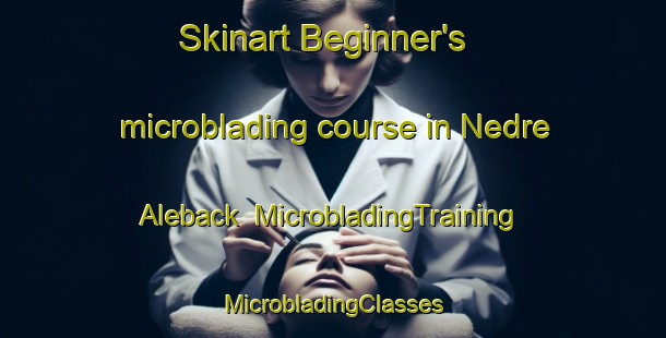 Skinart Beginner's microblading course in Nedre Aleback | #MicrobladingTraining #MicrobladingClasses #SkinartTraining-Sweden