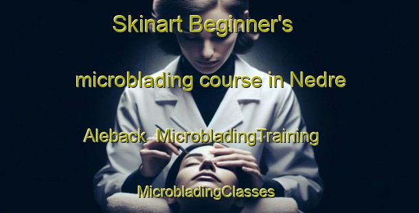 Skinart Beginner's microblading course in Nedre Aleback | MicrobladingTraining | MicrobladingClasses | SkinartTraining-Sweden