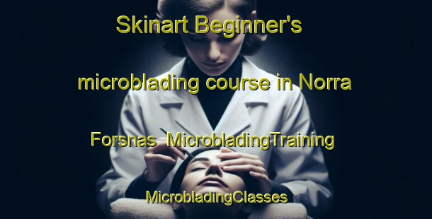 Skinart Beginner's microblading course in Norra Forsnas | #MicrobladingTraining #MicrobladingClasses #SkinartTraining-Sweden