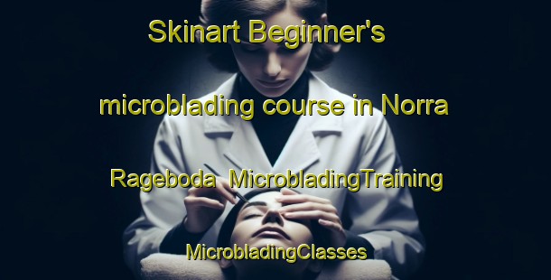 Skinart Beginner's microblading course in Norra Rageboda | #MicrobladingTraining #MicrobladingClasses #SkinartTraining-Sweden