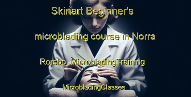 Skinart Beginner's microblading course in Norra Rorsbo | MicrobladingTraining | MicrobladingClasses | SkinartTraining-Sweden