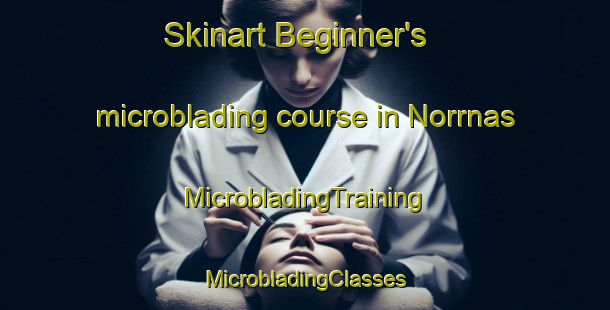 Skinart Beginner's microblading course in Norrnas | #MicrobladingTraining #MicrobladingClasses #SkinartTraining-Sweden