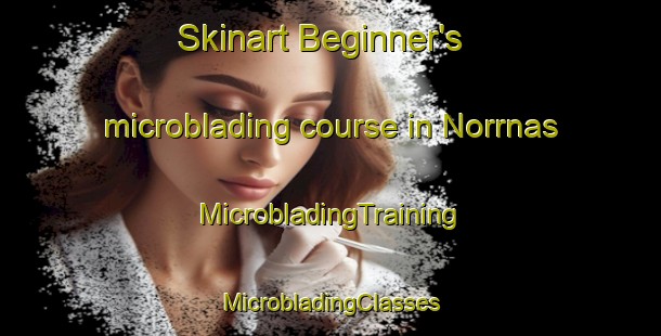 Skinart Beginner's microblading course in Norrnas | #MicrobladingTraining #MicrobladingClasses #SkinartTraining-Sweden