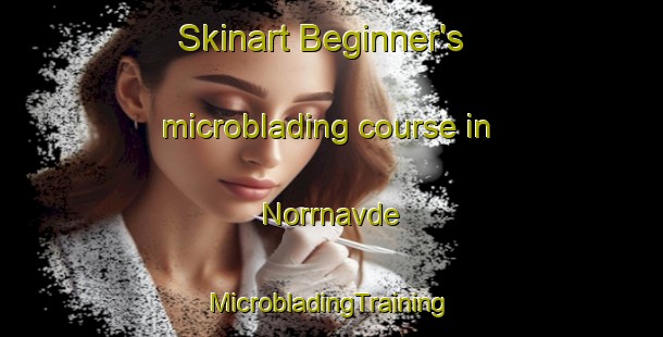 Skinart Beginner's microblading course in Norrnavde | #MicrobladingTraining #MicrobladingClasses #SkinartTraining-Sweden