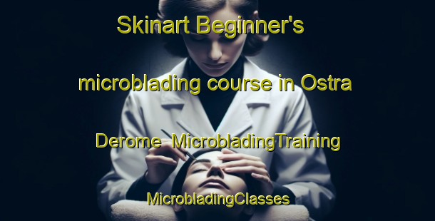 Skinart Beginner's microblading course in Ostra Derome | #MicrobladingTraining #MicrobladingClasses #SkinartTraining-Sweden