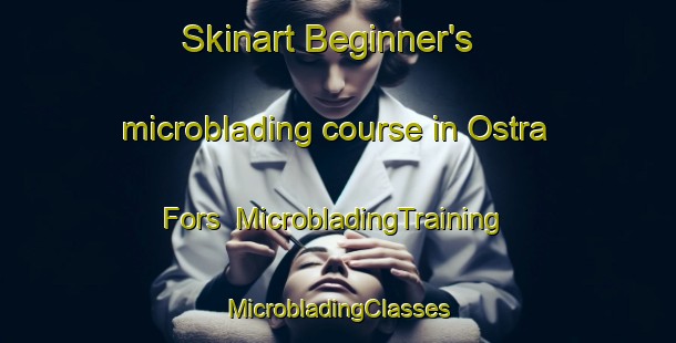 Skinart Beginner's microblading course in Ostra Fors | #MicrobladingTraining #MicrobladingClasses #SkinartTraining-Sweden