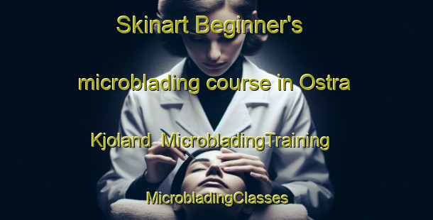 Skinart Beginner's microblading course in Ostra Kjoland | #MicrobladingTraining #MicrobladingClasses #SkinartTraining-Sweden