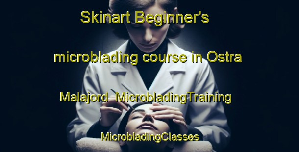 Skinart Beginner's microblading course in Ostra Malajord | #MicrobladingTraining #MicrobladingClasses #SkinartTraining-Sweden