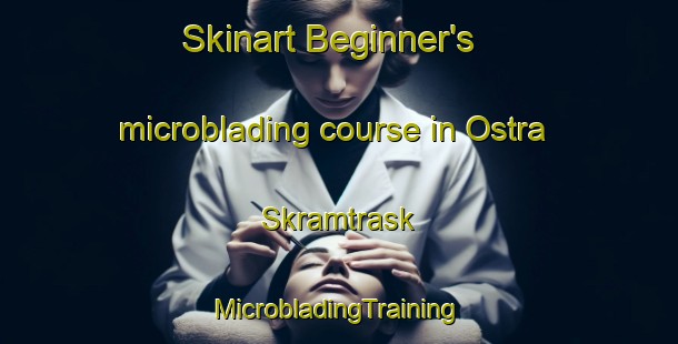 Skinart Beginner's microblading course in Ostra Skramtrask | #MicrobladingTraining #MicrobladingClasses #SkinartTraining-Sweden