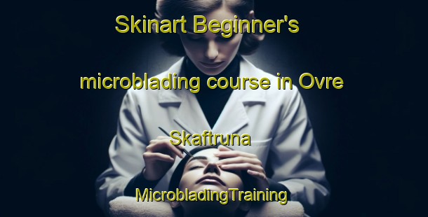 Skinart Beginner's microblading course in Ovre Skaftruna | #MicrobladingTraining #MicrobladingClasses #SkinartTraining-Sweden