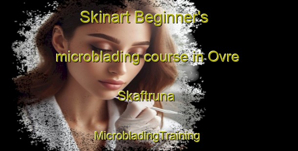 Skinart Beginner's microblading course in Ovre Skaftruna | #MicrobladingTraining #MicrobladingClasses #SkinartTraining-Sweden