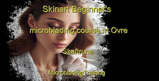 Skinart Beginner's microblading course in Ovre Skaftruna | MicrobladingTraining | MicrobladingClasses | SkinartTraining-Sweden