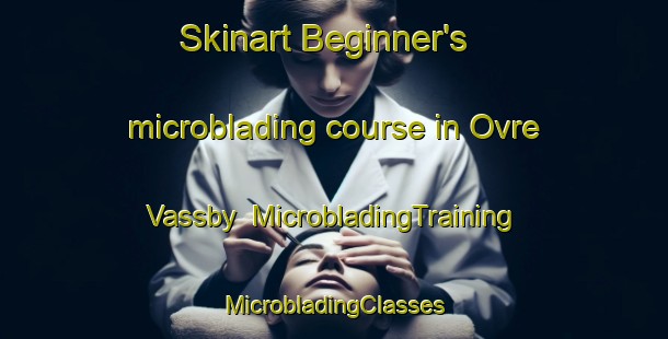 Skinart Beginner's microblading course in Ovre Vassby | #MicrobladingTraining #MicrobladingClasses #SkinartTraining-Sweden