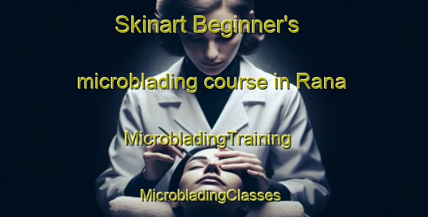 Skinart Beginner's microblading course in Rana | MicrobladingTraining | MicrobladingClasses | SkinartTraining-Sweden